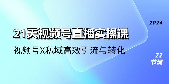 21天视频号直播实操课，视频号X私域高效引流与转化（22节课）-爱项目