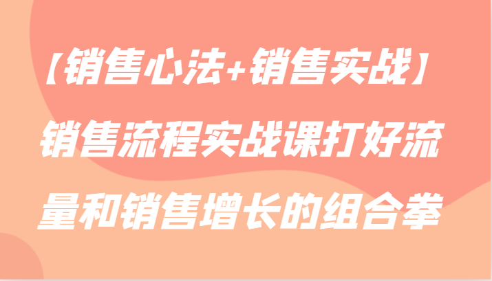 【销售心法+销售实战】销售流程实战课打好流量和销售增长的组合拳-爱项目