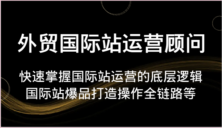 外贸国际站运营顾问-快速掌握国际站运营的底层逻辑，国际站爆品打造操作全链路等-爱项目