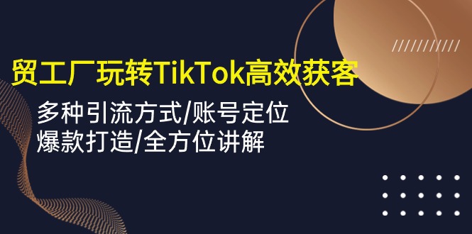 外贸工厂玩转TikTok高效获客，多种引流方式/账号定位/爆款打造/全方位讲解-爱项目