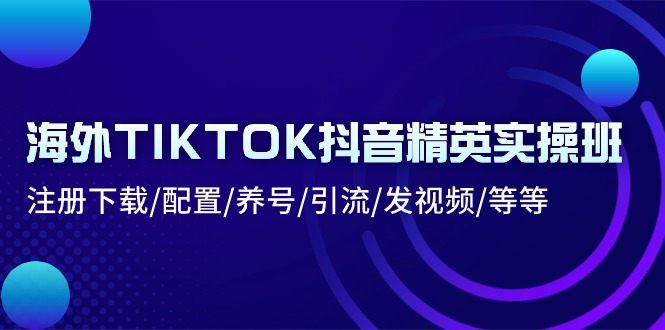 海外TIKTOK抖音精英实操班：注册下载/配置/养号/引流/发视频/等等-爱项目
