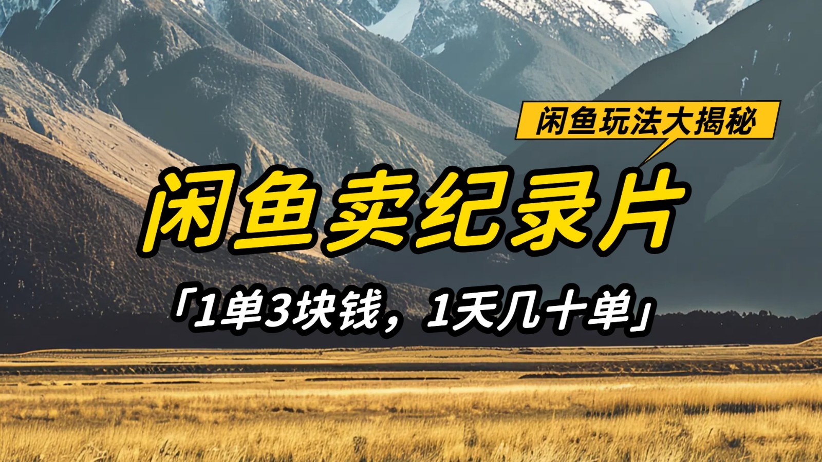 闲鱼卖纪录片，简单又赚钱的小项目，1单3块钱  1天几十单-爱项目