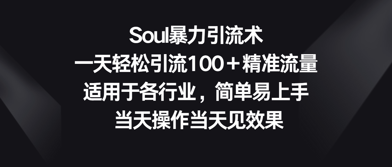 Soul暴力引流术，一天轻松引流100＋精准流量，适用于各行业，简单易上手！-爱项目