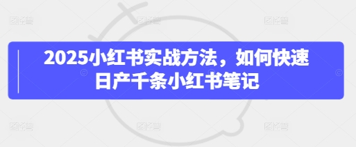 2025小红书实战方法，如何快速日产千条小红书笔记-爱项目