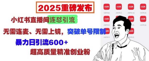 2025重磅发布：小红书直播间连怼引流，无需连麦、无需上镜，突破单号限制，暴力日引流600+-爱项目