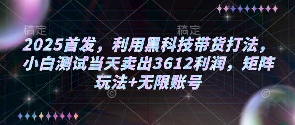 2025首发，利用黑科技带货打法，小白测试当天卖出3612利润，矩阵玩法+无限账号-爱项目