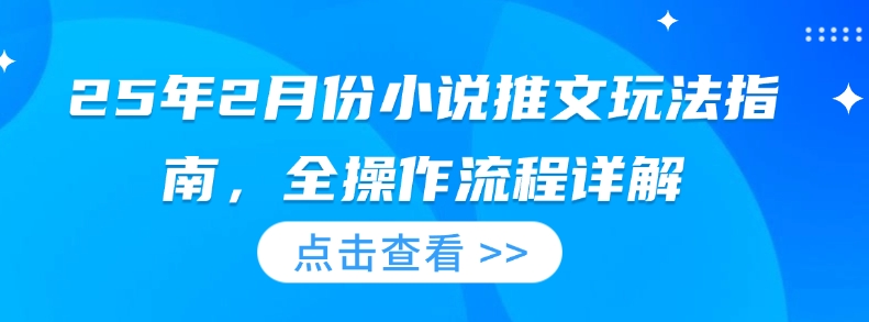25年2月份小说推文玩法指南，全操作流程详解-爱项目