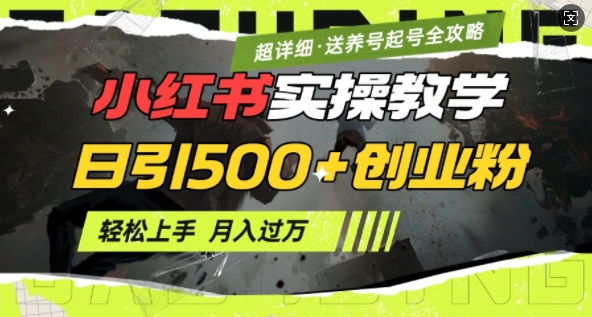2月小红书最新日引500+创业粉实操教学【超详细】小白轻松上手，月入1W+，附小红书养号起号SOP-爱项目