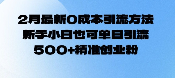 2月最新0成本引流方法，新手小白也可单日引流500+精准创业粉-爱项目