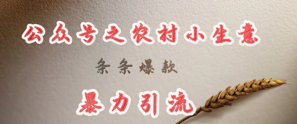 deepseek写农村小项目，条条爆款，暴力引流-爱项目