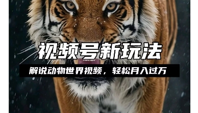利用动物世界解说视频，赚分成计划收益，轻松月入过W，操作简单-爱项目