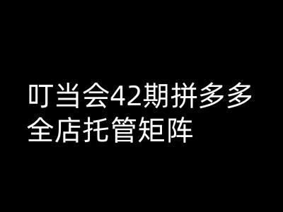 叮当会拼多多打爆班原创高阶技术第42期，拼多多全店托管矩阵-爱项目