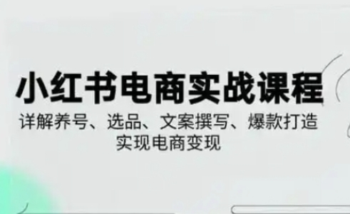 小红书从0-1实操课(2023-2025)，详解养号、选品、文案撰写、爆款打造实现电商变现-爱项目