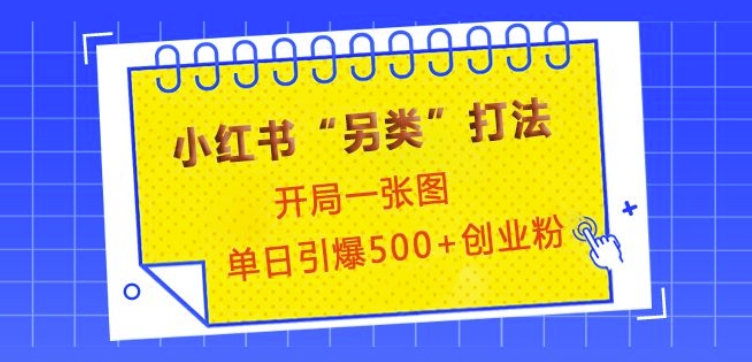 小红书“另类”打法，开局一张图，单日引爆500+精准创业粉-爱项目