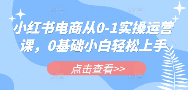 小红书电商从0-1实操运营课，0基础小白轻松上手-爱项目