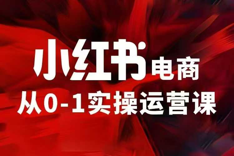 小红书电商运营，97节小红书vip内部课，带你实现小红书赚钱-爱项目