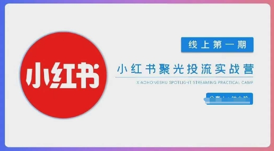 小红书聚光陪跑第一期，教你从0到1玩转小红书聚光投流，搭建小红书付费投流团队，更快的见到效果-爱项目