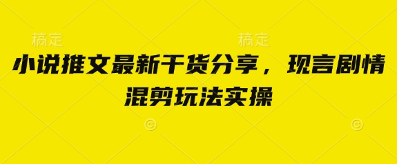 小说推文最新干货分享，现言剧情混剪玩法实操-爱项目