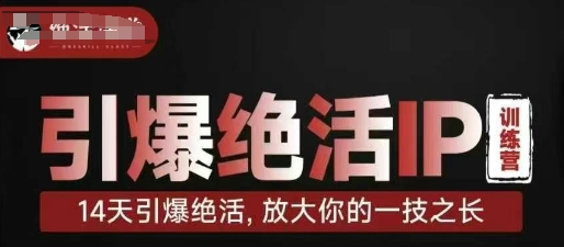 引爆绝活IP训练营，14天引爆绝活，放大你的一技之长-爱项目