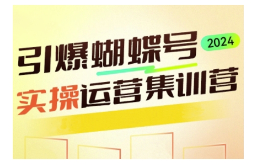 引爆蝴蝶号实操运营，助力你深度掌握蝴蝶号运营，实现高效实操，开启流量变现之路-爱项目