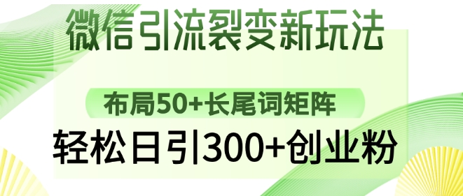 微信引流裂变新玩法：布局50+长尾词矩阵，轻松日引300+创业粉-爱项目