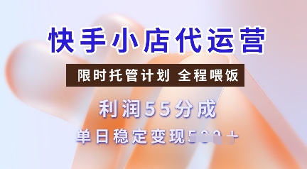 快手小店代运营，限时托管计划，收益55分，单日稳定变现多张-爱项目
