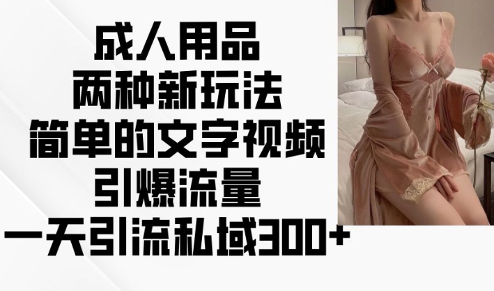 成人用品两种新玩法，简单的文字视频引爆流量，一天引流私域300+-爱项目