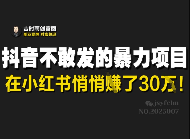 抖音不敢发的暴利项目，在小红书悄悄挣了30W-爱项目