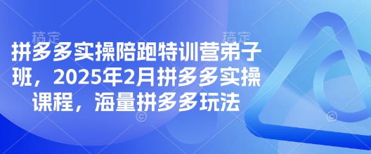 拼多多实操陪跑特训营弟子班，2025年2月拼多多实操课程，海量拼多多玩法-爱项目