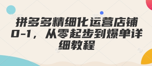 拼多多精细化运营店铺0-1，从零起步到爆单详细教程-爱项目