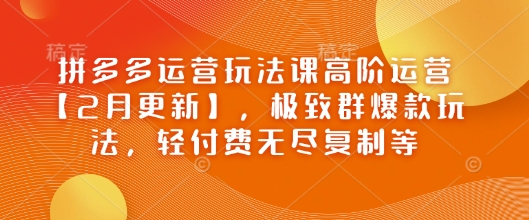 拼多多运营玩法课高阶运营【2月更新】，极致群爆款玩法，轻付费无尽复制等-爱项目