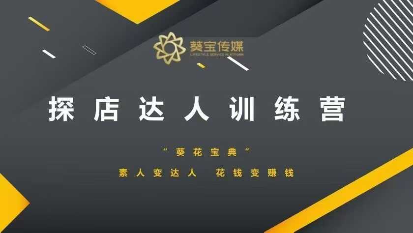 探店达人训练营，素人变达人，花钱变赚钱-爱项目