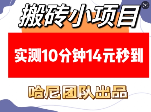 搬砖小项目，实测10分钟14元秒到，每天稳定几张(赠送必看稳定)-爱项目