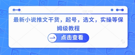 最新小说推文干货，起号，选文，实操等保姆级教程-爱项目