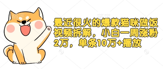 最近很火的爆款猫咪做饭视频拆解，小白一周涨粉2万，单条10万+播放(附保姆级教程)-爱项目