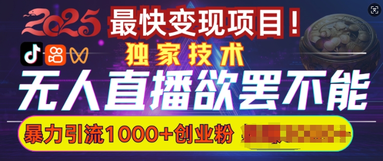 欲罢不能的无人直播引流，超暴力日引流1000+高质量精准创业粉-爱项目