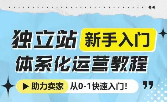 独立站新手入门体系化运营教程，助力独立站卖家从0-1快速入门!-爱项目