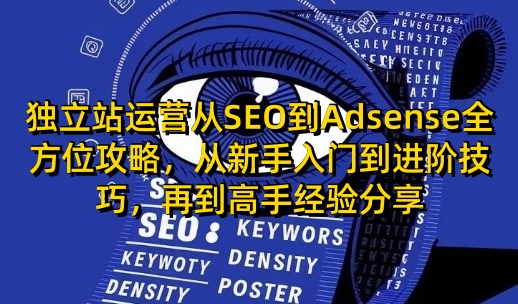 独立站运营从SEO到Adsense全方位攻略，从新手入门到进阶技巧，再到高手经验分享-爱项目