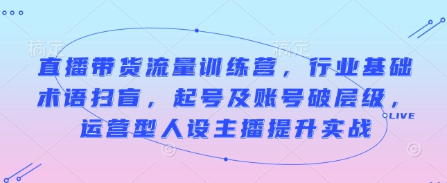 直播带货流量训练营，行业基础术语扫盲，起号及账号破层级，运营型人设主播提升实战-爱项目