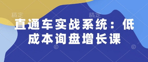 直通车实战系统：低成本询盘增长课，让个人通过技能实现升职加薪，让企业低成本获客，订单源源不断-爱项目