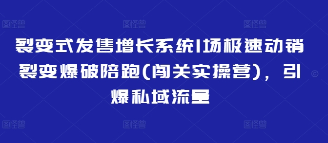 裂变式发售增长系统1场极速动销裂变爆破陪跑(闯关实操营)，引爆私域流量-爱项目