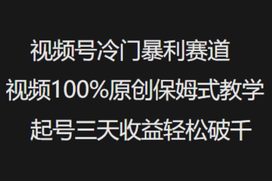 视频号冷门暴利赛道视频100%原创保姆式教学起号三天收益轻松破千-爱项目