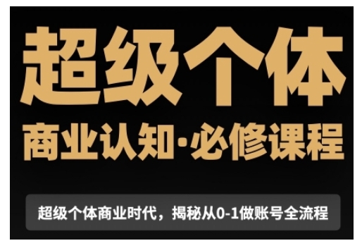 超级个体商业认知觉醒视频课，商业认知·必修课程揭秘从0-1账号全流程-爱项目