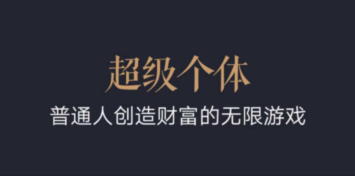 超级个体：2024-2025翻盘指南，普通人创造财富的无限游戏-爱项目