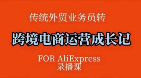 跨境电商速卖通运营课，​运营方法论+后台实操，逻辑清晰-爱项目