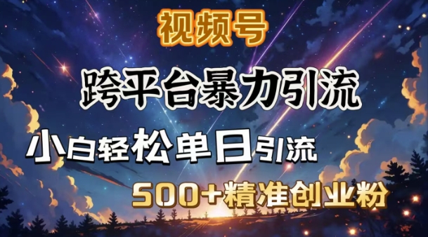 跨平台暴力引流，私域完美闭环，日引500+精准创业粉-爱项目