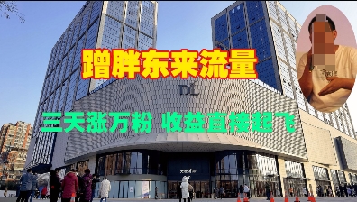 蹭胖东来流量，三天涨万粉，收益直接起飞-爱项目