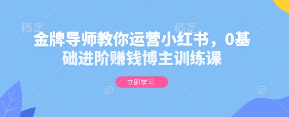 金牌导师教你运营小红书，0基础进阶赚钱博主训练课-爱项目
