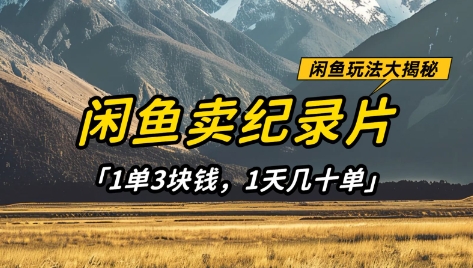 闲鱼卖纪录片1单3块钱，1天几十单，项目稳定有潜力-爱项目