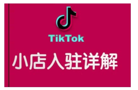TikTok跨境小店运营全攻略，帮助你独立运营TK跨境小店的能力，实现销量增长-爱项目
